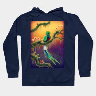 Resplendent Quetzal Hoodie